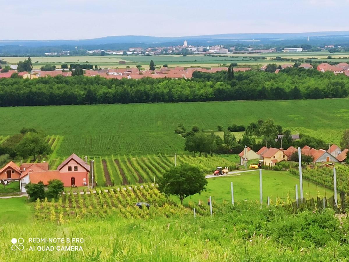 Pensjonat Sklipek U Svobodu Velké Bílovice Zewnętrze zdjęcie